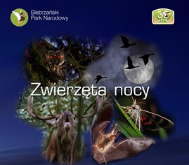 BPN_Zwierzęta Nocy_banner.jpg